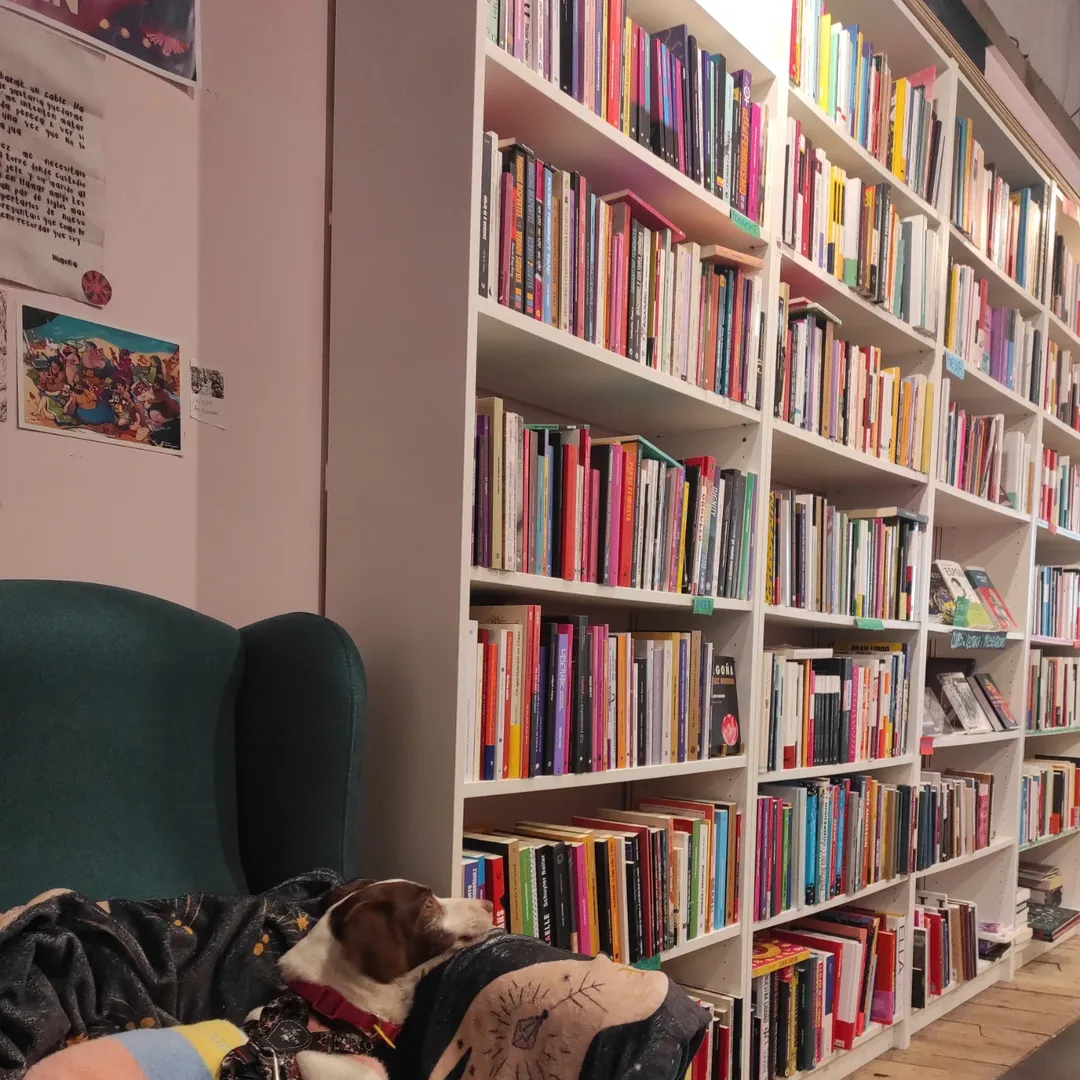 llibreria la repunantinha - galeta